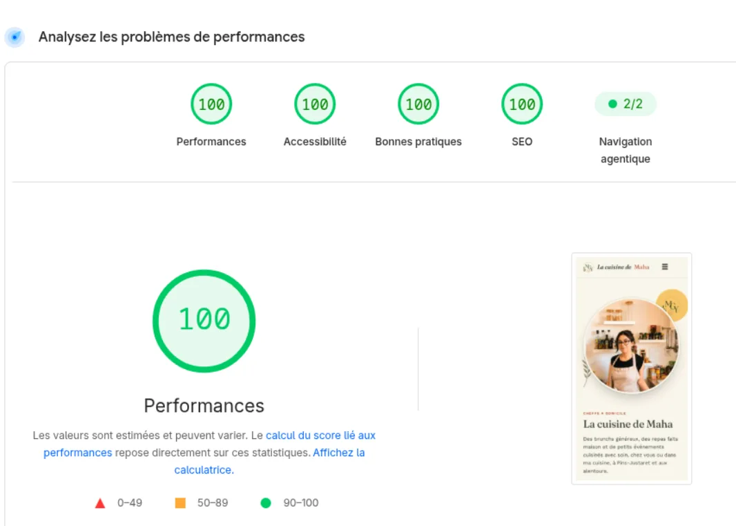 Scores PageSpeed Insights du site